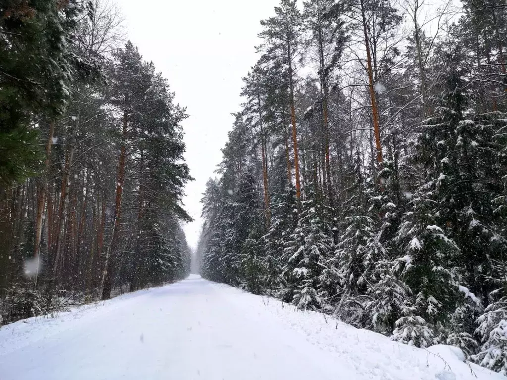 Участок в Московская область, Раменский муниципальный округ, пос. ... - Фото 1