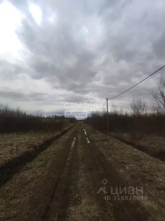 Участок в Ленинградская область, Тосненский район, Любанское городское ... - Фото 0