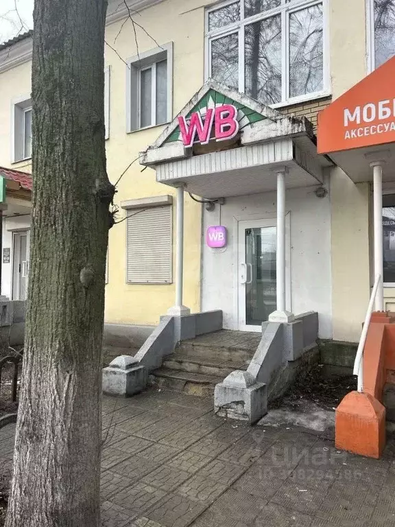 Офис в Владимирская область, Ковров просп. Ленина, 47 (54 м) - Фото 2