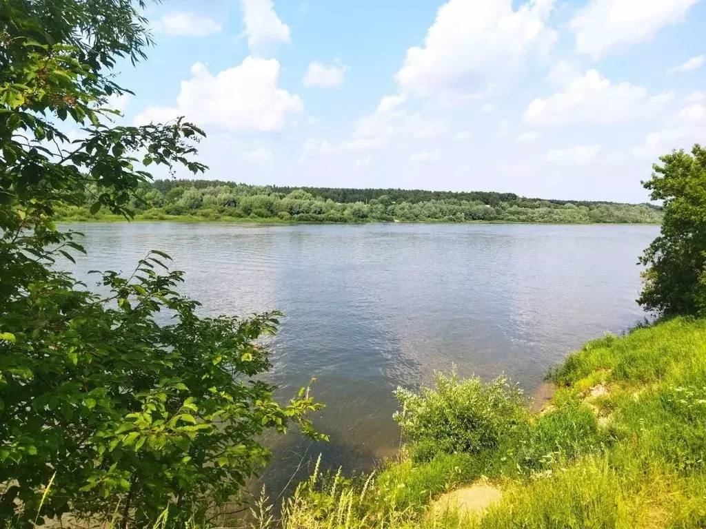 Участок в Тульская область, Ясногорский район, Иваньковское с/пос, с. ... - Фото 0