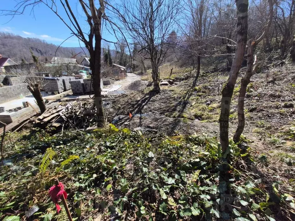 Участок в Краснодарский край, Сочи городской округ, с. Верховское ул. ... - Фото 1