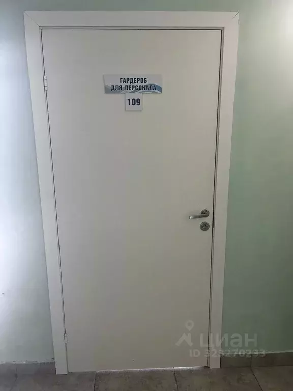 Помещение свободного назначения в Ленинградская область, Кингисепп ул. ... - Фото 1