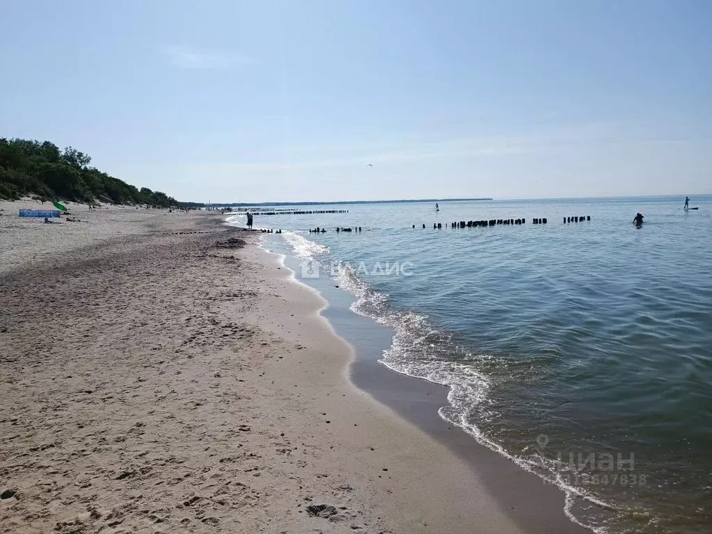 Участок в Калининградская область, Зеленоградск Волна садоводческое ... - Фото 0