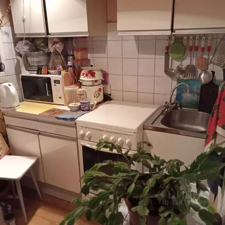 1-к кв. Санкт-Петербург ул. Рихарда Зорге, 12 (28.0 м) - Фото 0