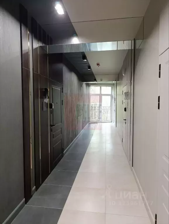 1-к кв. Калининградская область, Светлогорск Калининградский просп., ... - Фото 2