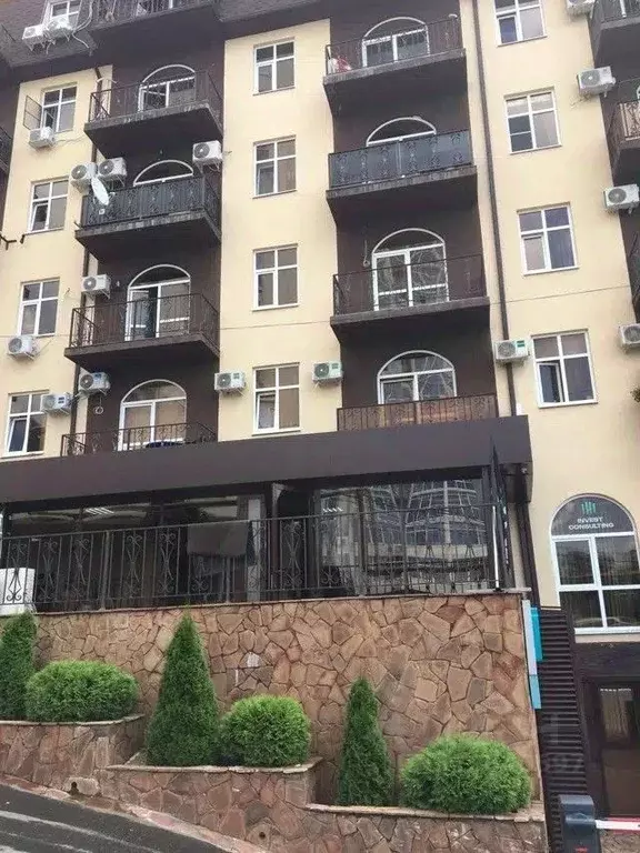 Помещение свободного назначения в Краснодарский край, Сочи Виноградная ... - Фото 2