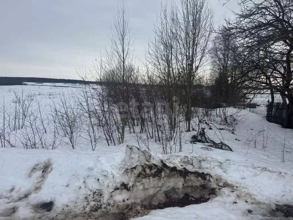 Участок в Вологодская область, пос. Непотягово ул. Полевая (8.0 сот.) - Фото 2