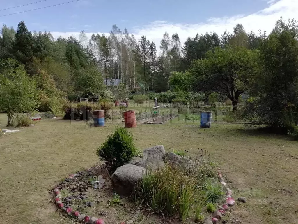 Участок в Смоленская область, Краснинский муниципальный округ ул. ... - Фото 1