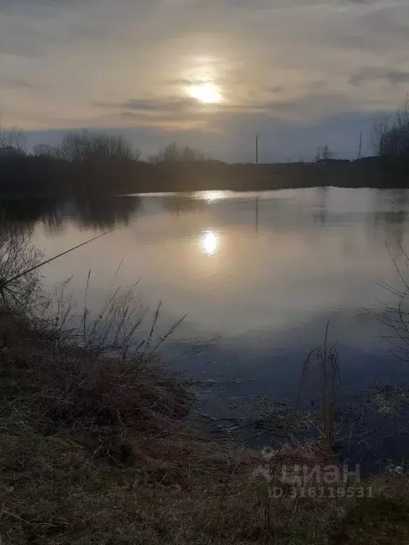 Участок в Владимирская область, Судогодский район, Вяткинское ... - Фото 0