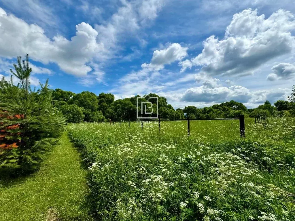 Участок в Калужская область, Перемышльский муниципальный округ, ... - Фото 2