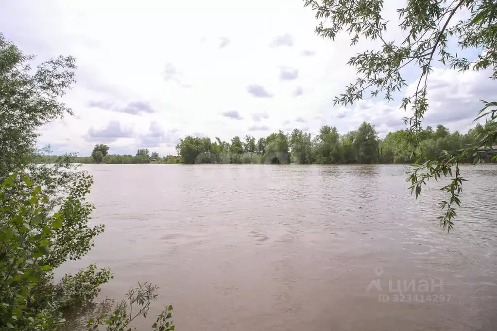 Участок в Алтайский край, Барнаул Затон мкр, ул. 2-я Озерная, 5 (18.3 ... - Фото 1