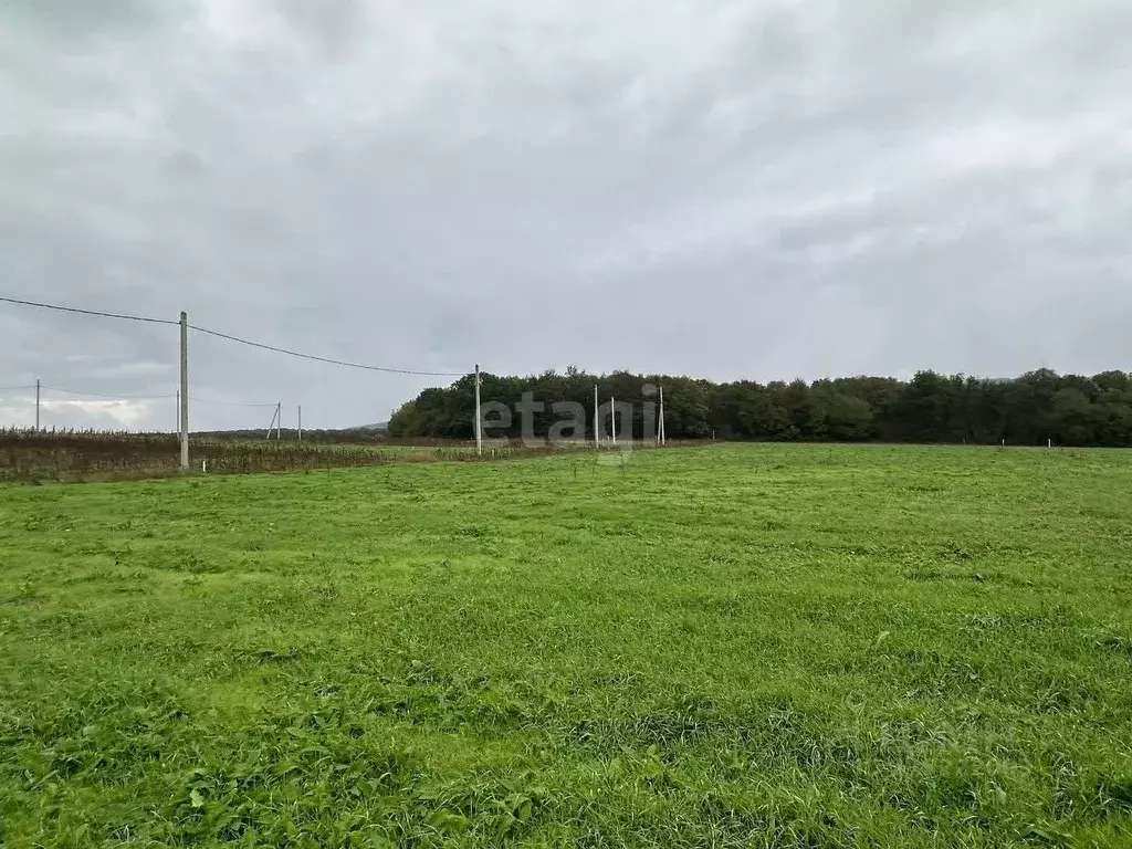 Участок в Краснодарский край, Новороссийск городской округ, ... - Фото 0