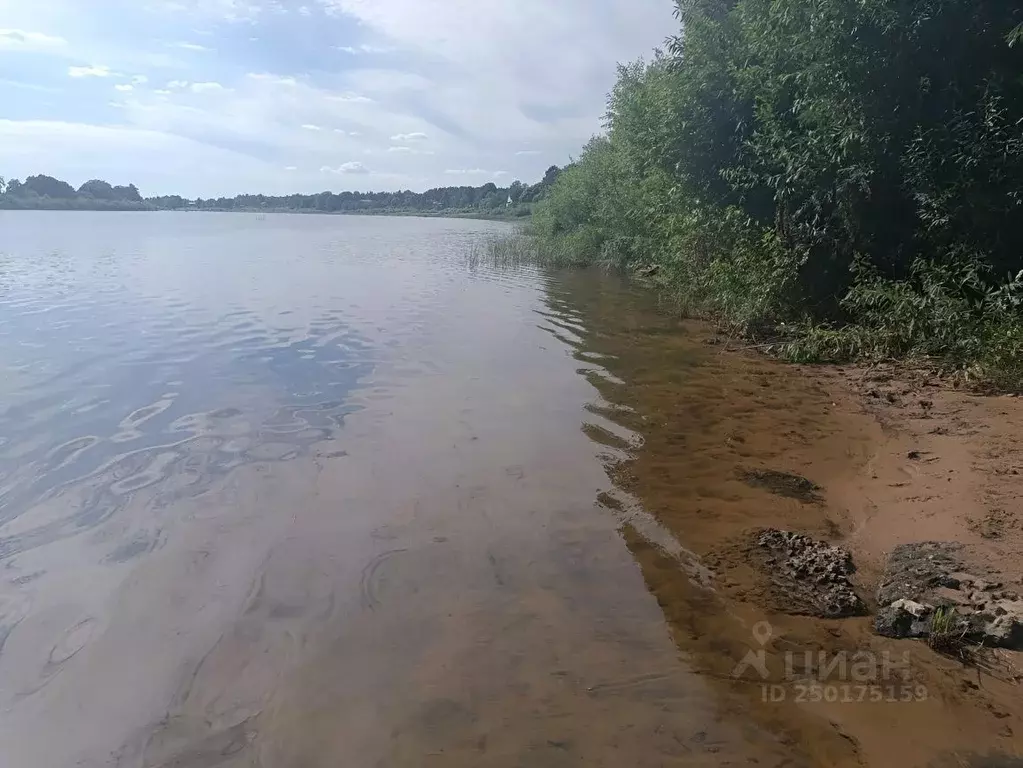 Участок в Новгородская область, Новгородский район, д. Сопки  (13.0 ... - Фото 1