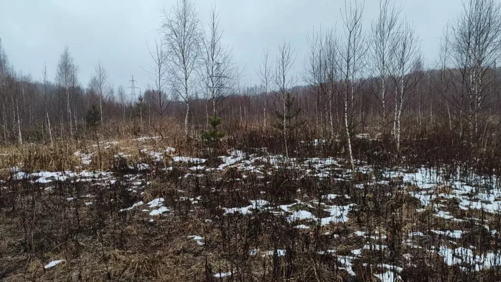 Участок в Московская область, Домодедово городской округ, с. ... - Фото 1