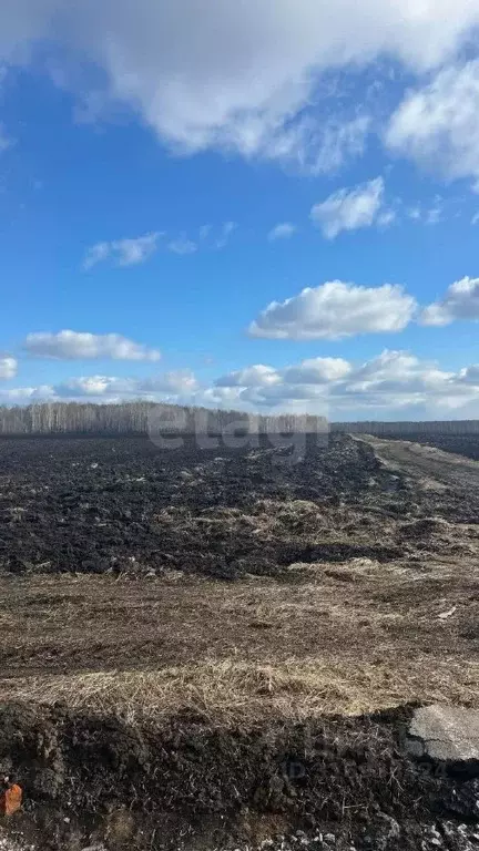 Участок в Тюменская область, Тюменский район, с. Горьковка  (6.0 сот.) - Фото 0