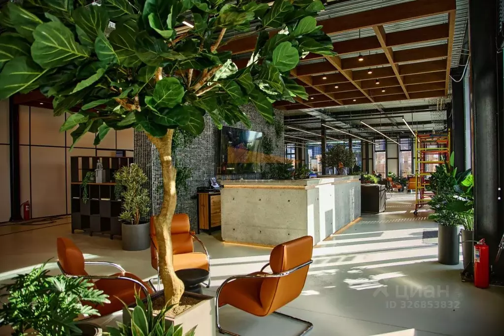 Торговая площадь в Московская область, Истра муниципальный округ, д. ... - Фото 1