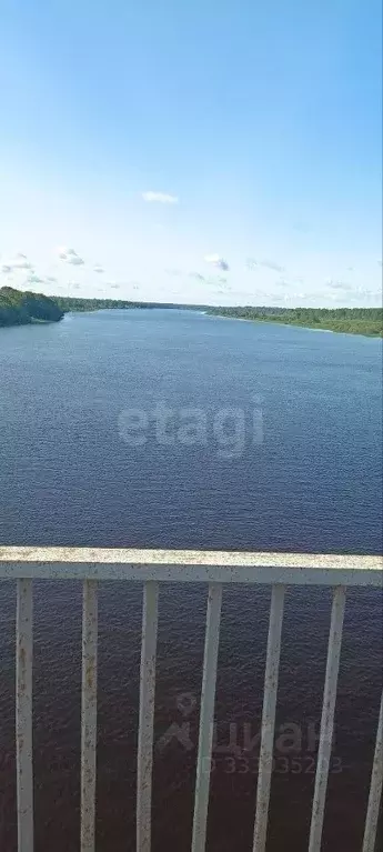 Участок в Новгородская область, Чудовский муниципальный округ, ... - Фото 1