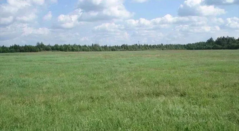 Участок в Ленинградская область, Всеволожский район, Романовское ... - Фото 1