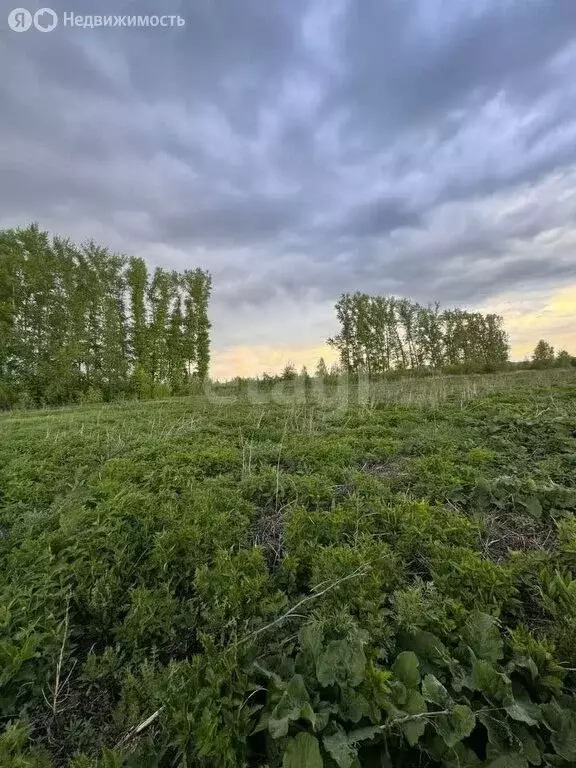 Участок в село Елыкаево, Колхозная улица (7.5 м) - Фото 0