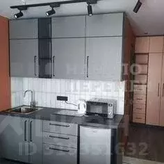 Студия Новосибирская область, Новосибирск Обская ул., 46/2 (24.0 м) - Фото 1