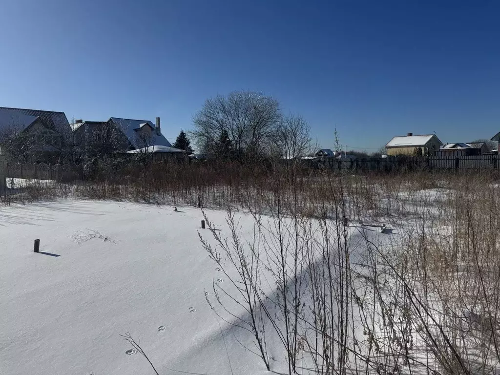 Участок в Калининградская область, Светлогорский городской округ, пос. ... - Фото 1