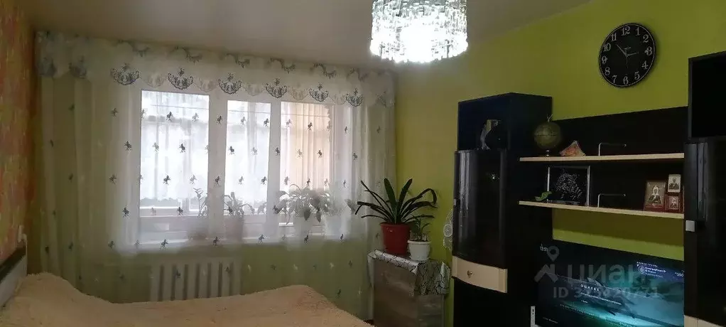 1-к кв. Ульяновская область, Ульяновск ул. Рябикова, 27А (35.4 м) - Фото 1