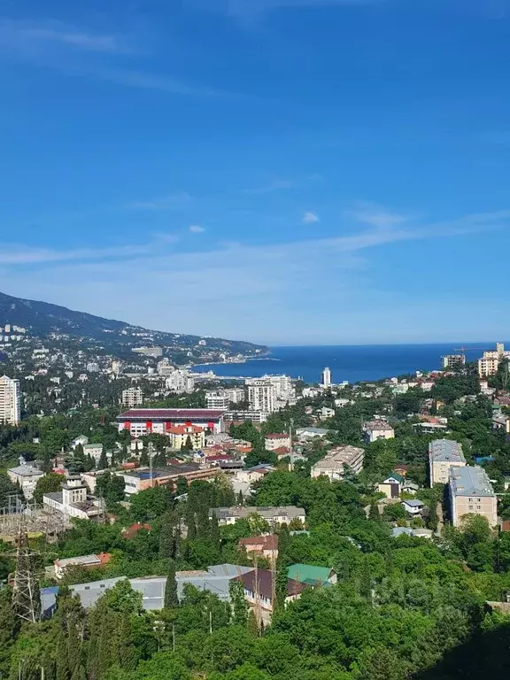 Студия Крым, Ялта ул. Блюхера, 19 (40.0 м) - Фото 1