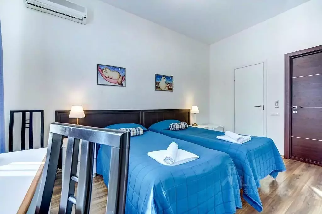1-к кв. Санкт-Петербург Пушкинская ул., 9 (10.0 м) - Фото 1