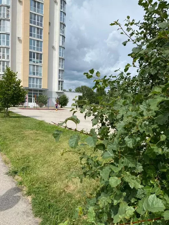 3-к. квартира, 79,6 м, 16/16 эт. - Фото 0