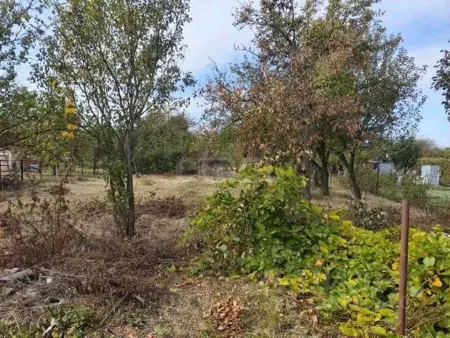 Участок в Липецкая область, Липецк Мечта СНП, 503 (6.05 сот.) - Фото 1