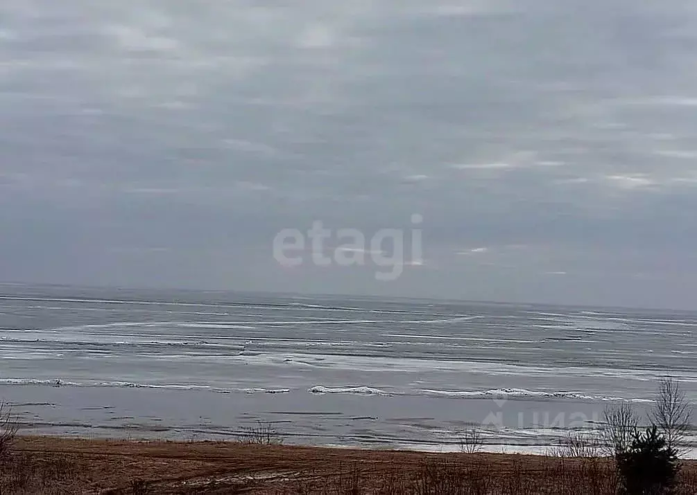 Дом в Ярославская область, Пошехонский муниципальный округ, ... - Фото 1