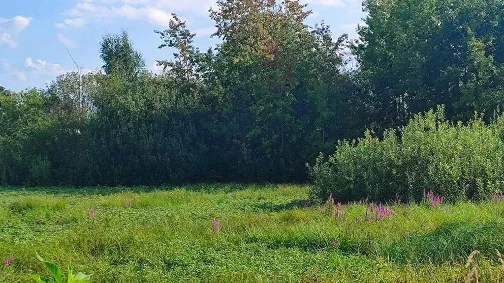 Участок в Московская область, Раменский муниципальный округ, д. ... - Фото 2