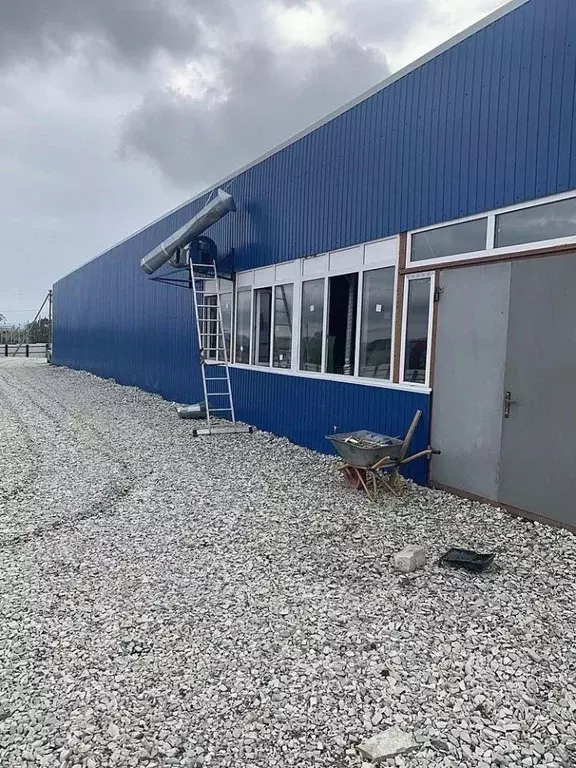 Участок в Краснодарский край, Новороссийск городской округ, ... - Фото 0