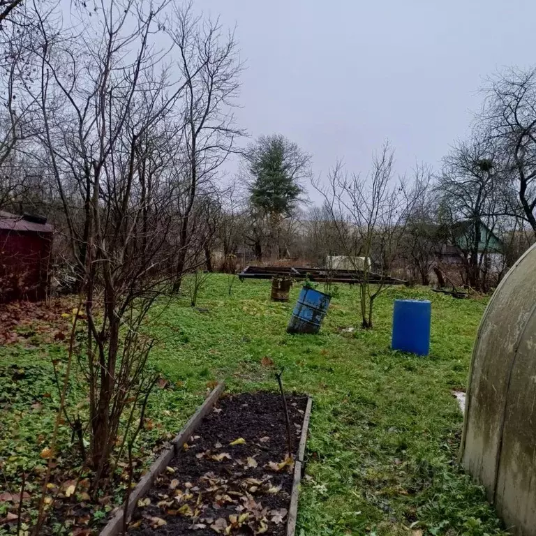 Участок в Ленинградская область, Коммунар г. Гатчинский муниципальный ... - Фото 2