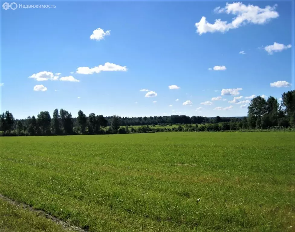 Участок в село Большие Кабаны, Северная улица, 66А (14.8 м) - Фото 0