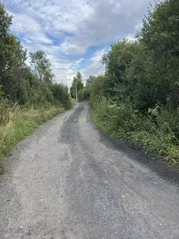 Участок в Тверская область, Калининский муниципальный округ, д. ... - Фото 2