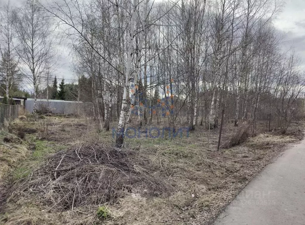 Участок в Москва № 165 кв-л,  (6.0 сот.) - Фото 2