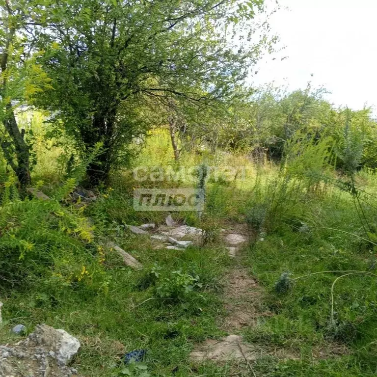 Участок в Краснодарский край, Сочи городской округ, с. Черешня ул. ... - Фото 1