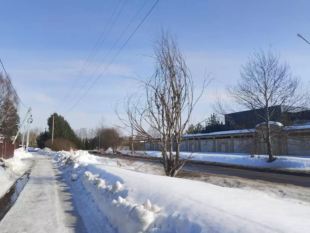 Участок в Московская область, Истра муниципальный округ, д. Чесноково  ... - Фото 1
