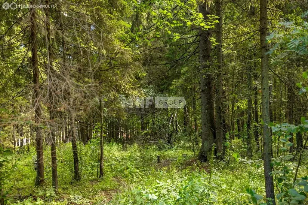 Участок в Одинцовский городской округ, посёлок дома отдыха Успенское ... - Фото 1