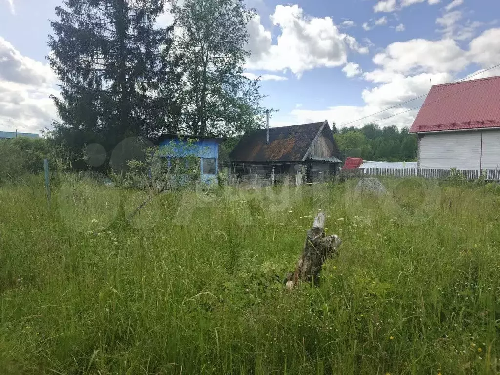 Участок 6 сот. (СНТ, ДНП) - Фото 0