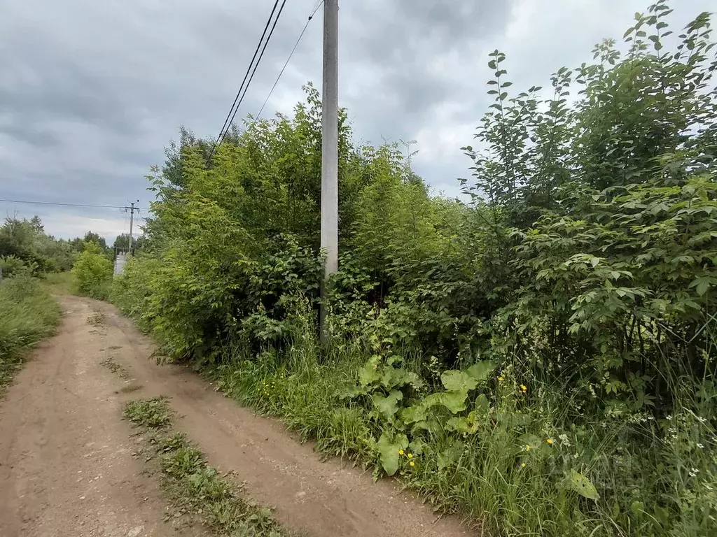 Участок в Пермский край, Пермь Ивушка СНТ,  (10.0 сот.) - Фото 2