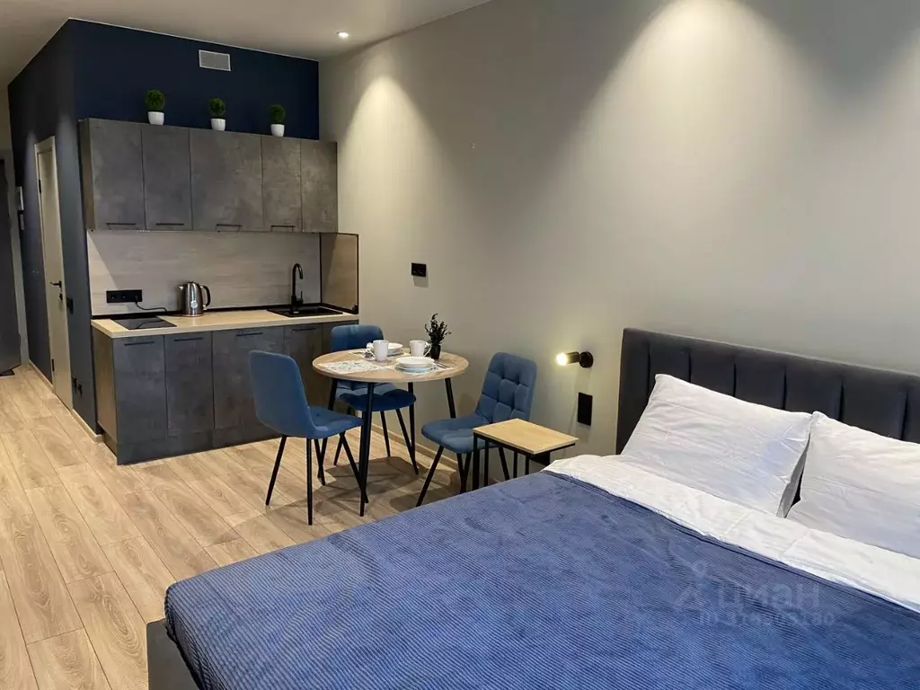 Студия Санкт-Петербург просп. Энергетиков, 8к2 (28.0 м) - Фото 1