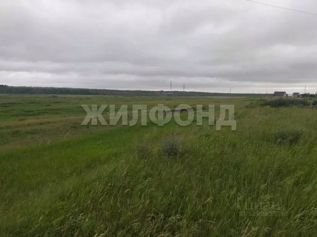 Участок в Новосибирская область, Коченевский район, Чик рп ул. Титова ... - Фото 1
