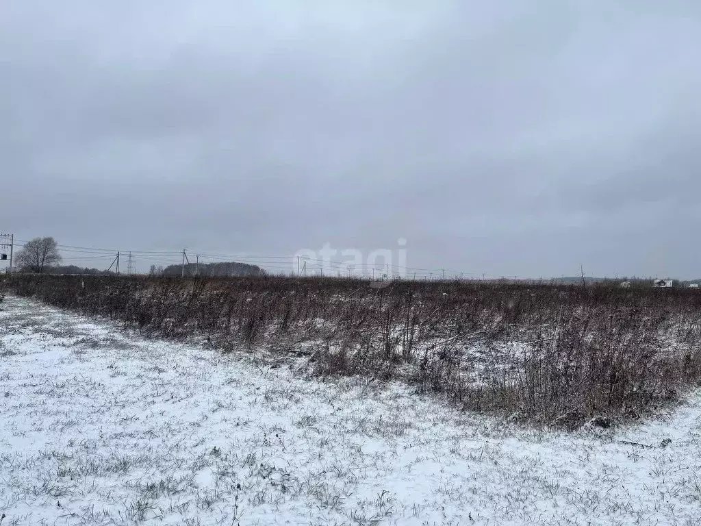 Участок в Московская область, Серпухов городской округ, д. Большое ... - Фото 1