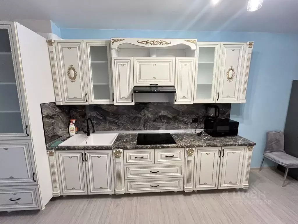 2-к кв. Санкт-Петербург пос. Шушары, просп. Старорусский, 5к1 (51.0 м) - Фото 2