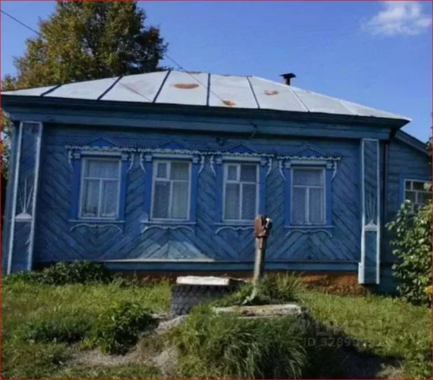 Дом в Нижегородская область, Шатковский муниципальный округ, с. ... - Фото 1