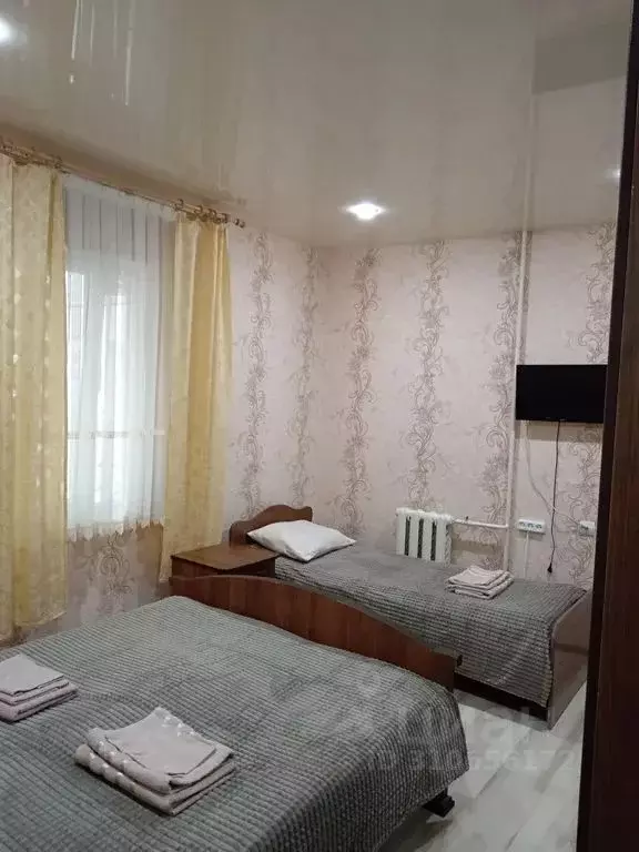 Комната Краснодарский край, Сочи ул. Свердлова, 37А - Фото 1