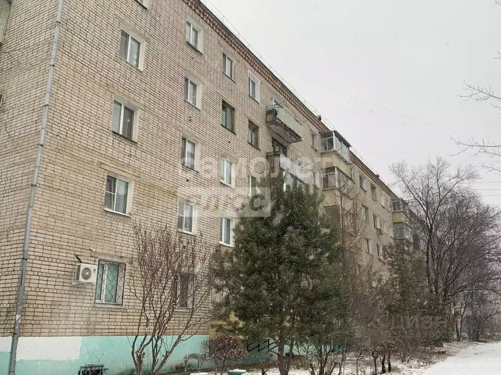 2-к кв. Амурская область, Благовещенск Институтская ул., 16 (53.3 м) - Фото 1