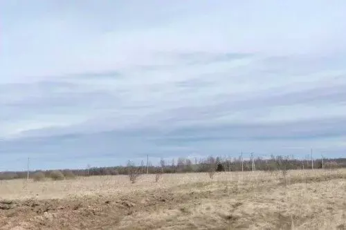Участок в Новгородская область, Новгородский район, Савинское с/пос, ... - Фото 2